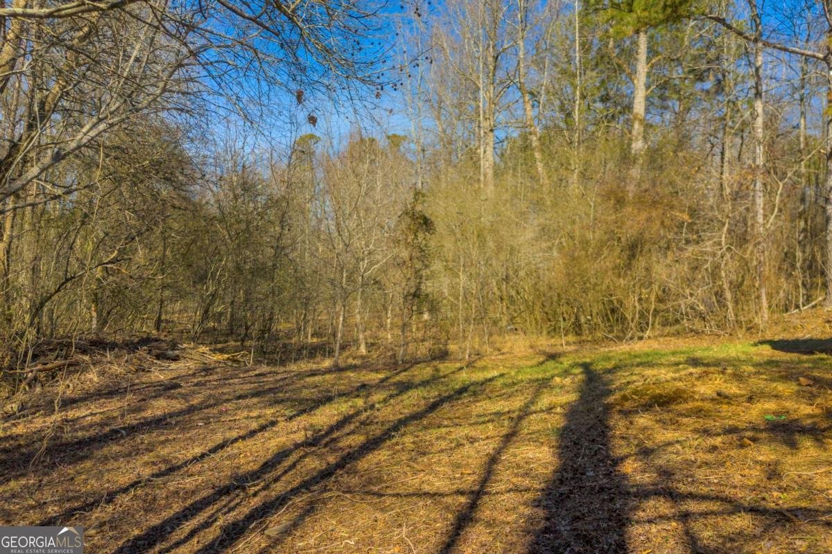 446 Flat Creek Drive Dawsonville - Photo 13