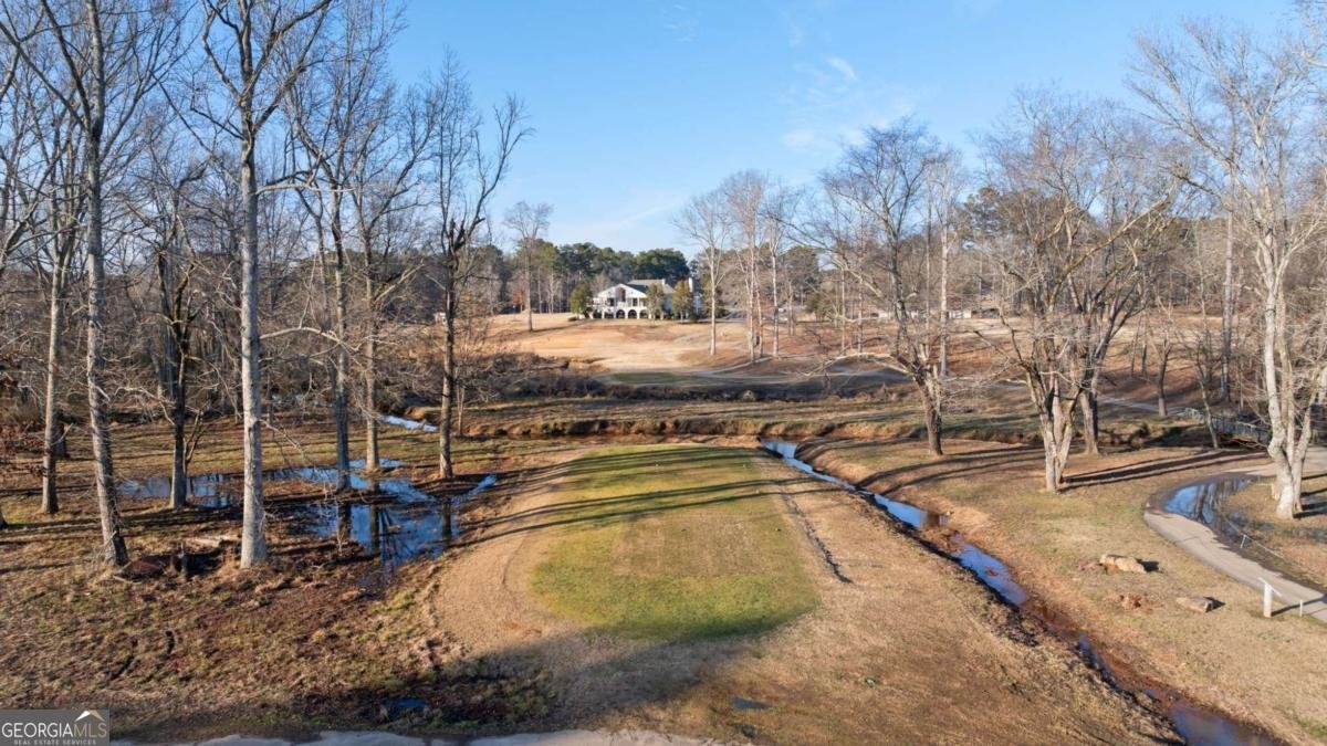 229 Westchester Drive Griffin - Photo 75