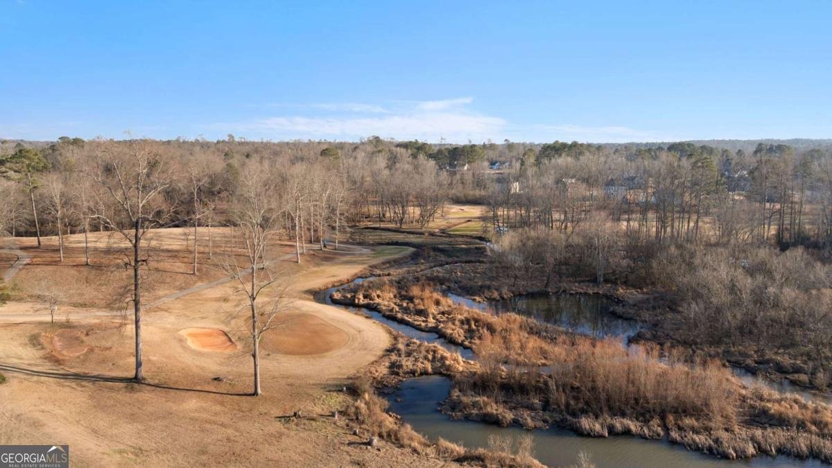 229 Westchester Drive Griffin - Photo 76