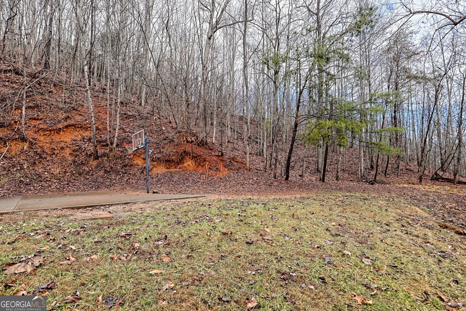 162 Eagles View Valley Hayesville - Photo 8