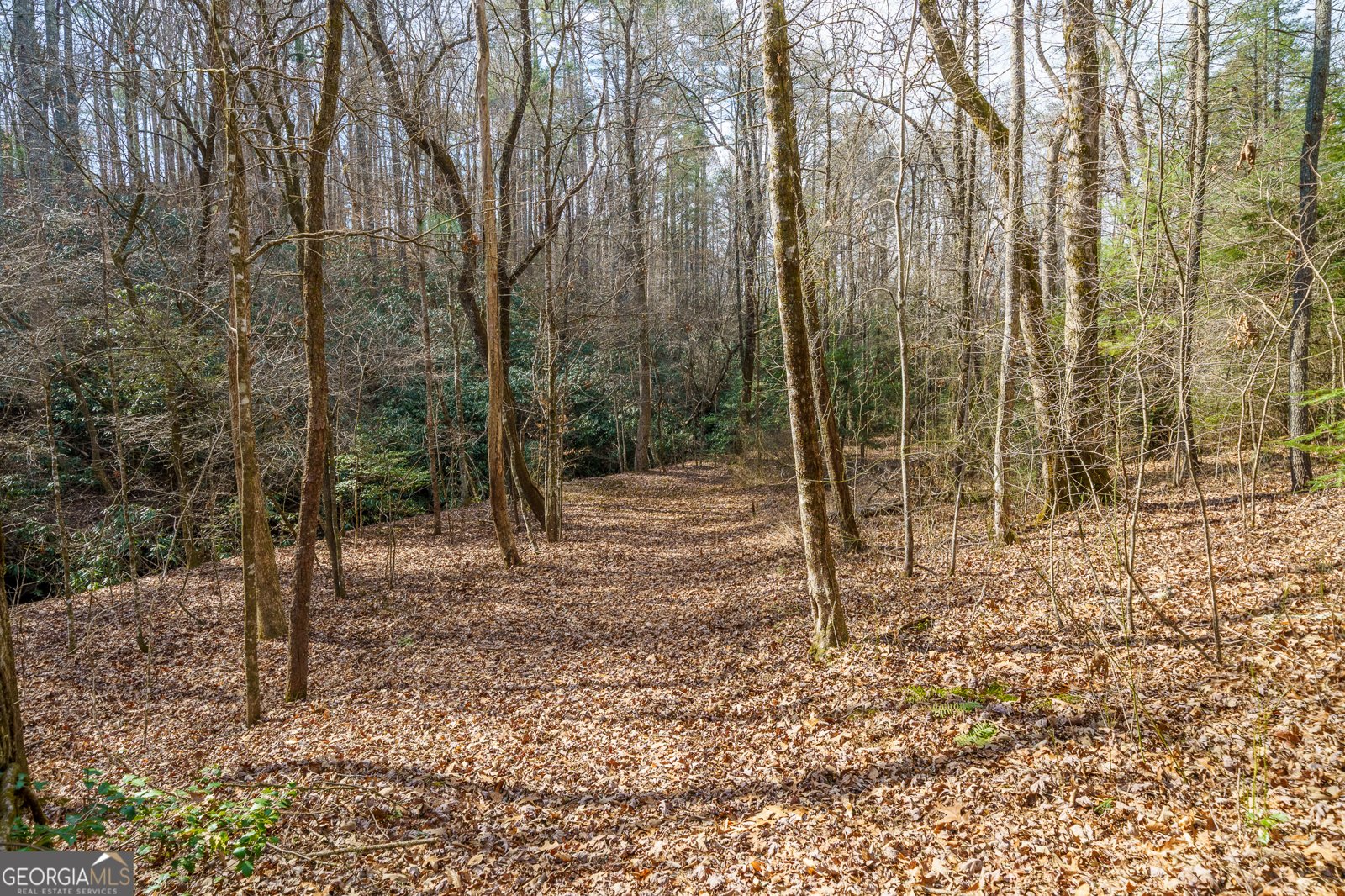 577 Macedonia Church Road Blue Ridge - Photo 78