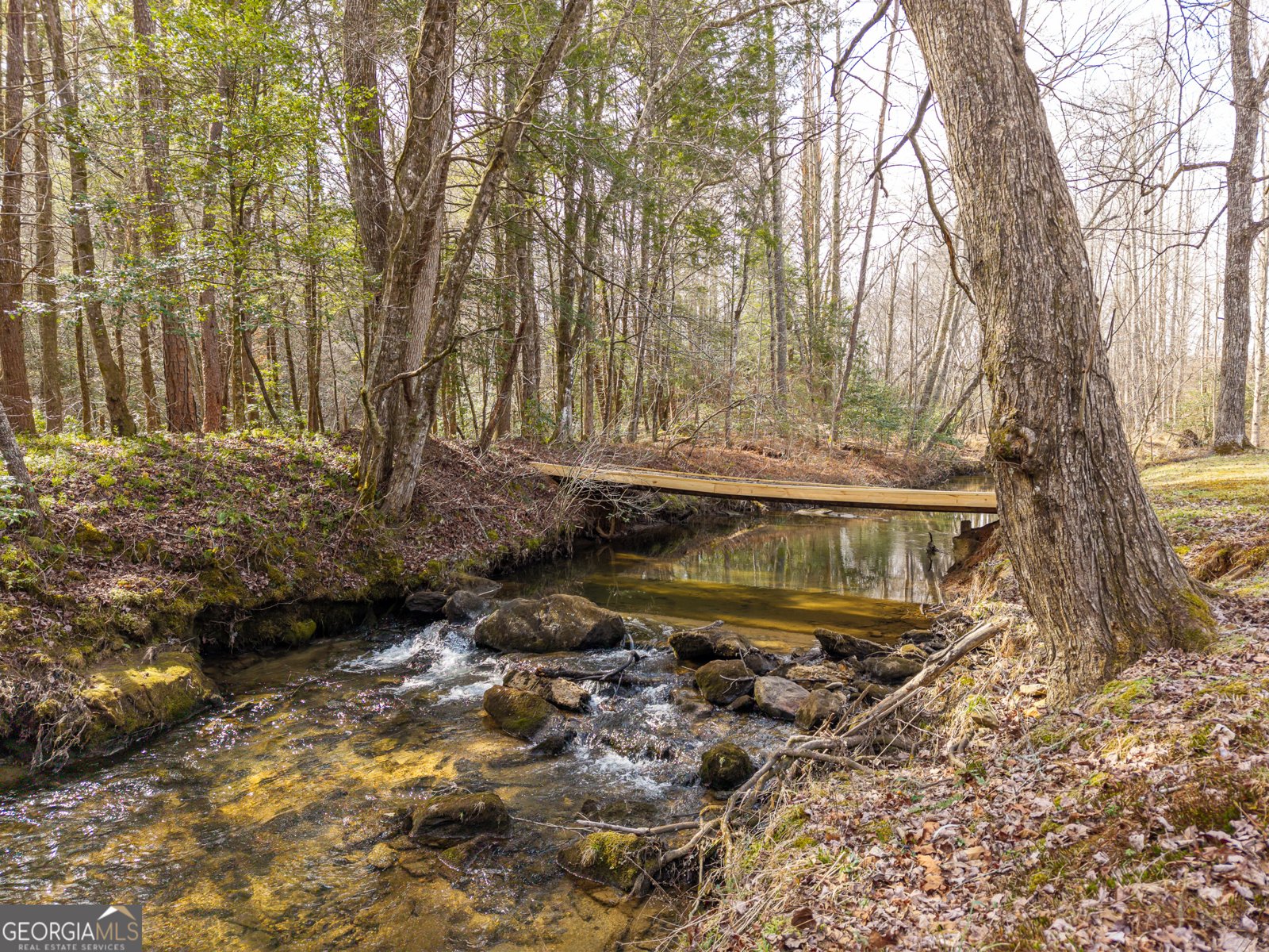 577 Macedonia Church Road Blue Ridge - Photo 82