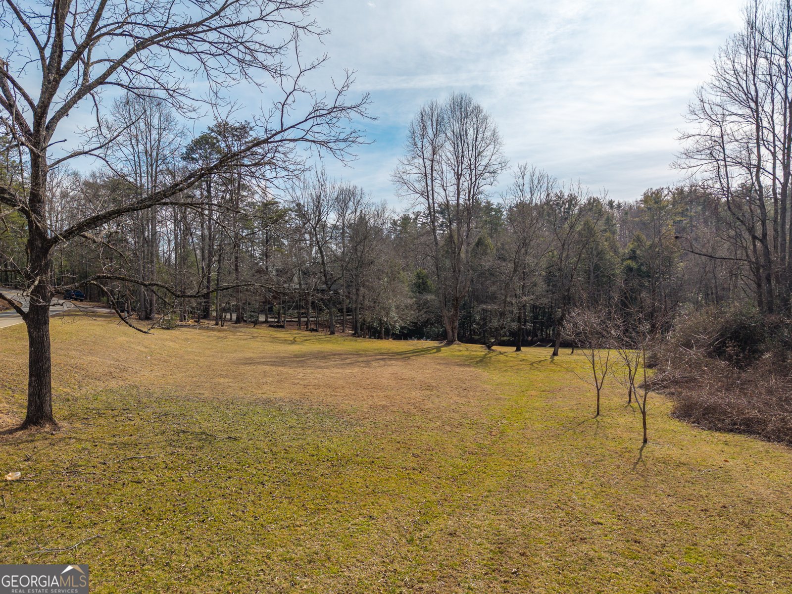 577 Macedonia Church Road Blue Ridge - Photo 83