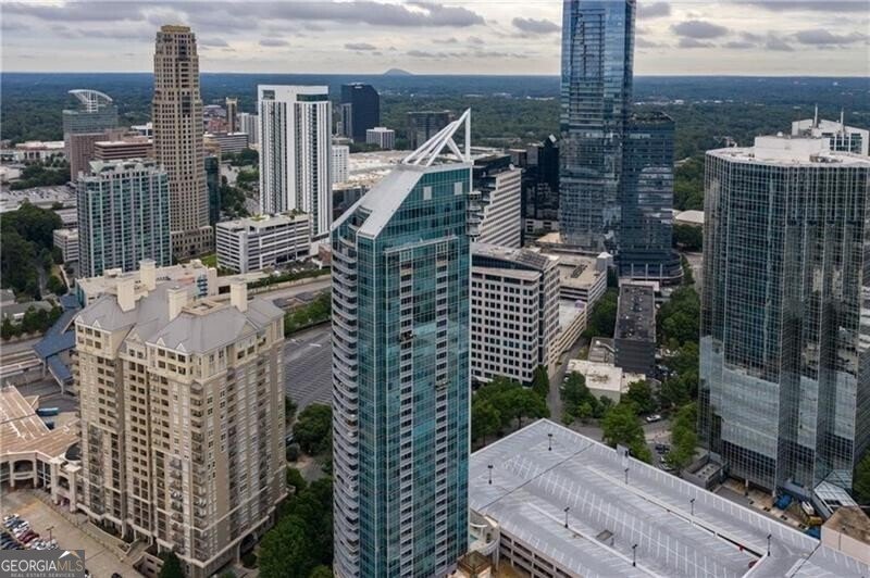 3338 Peachtree Road Atlanta - Photo 41