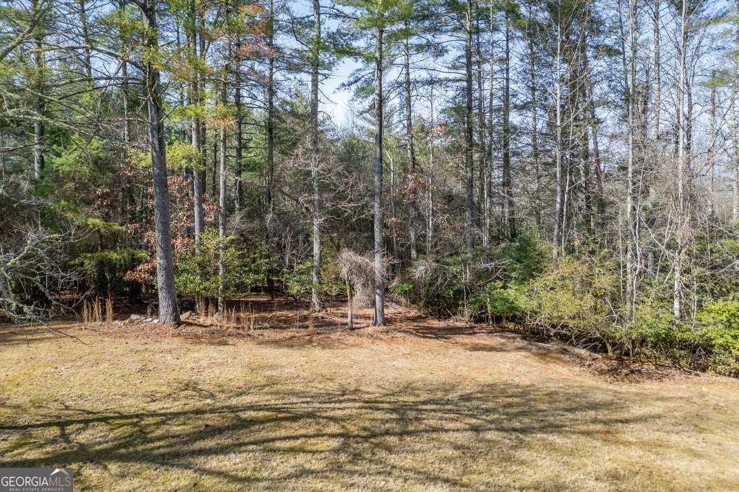 94 Kingfisher Lane Blairsville - Photo 52