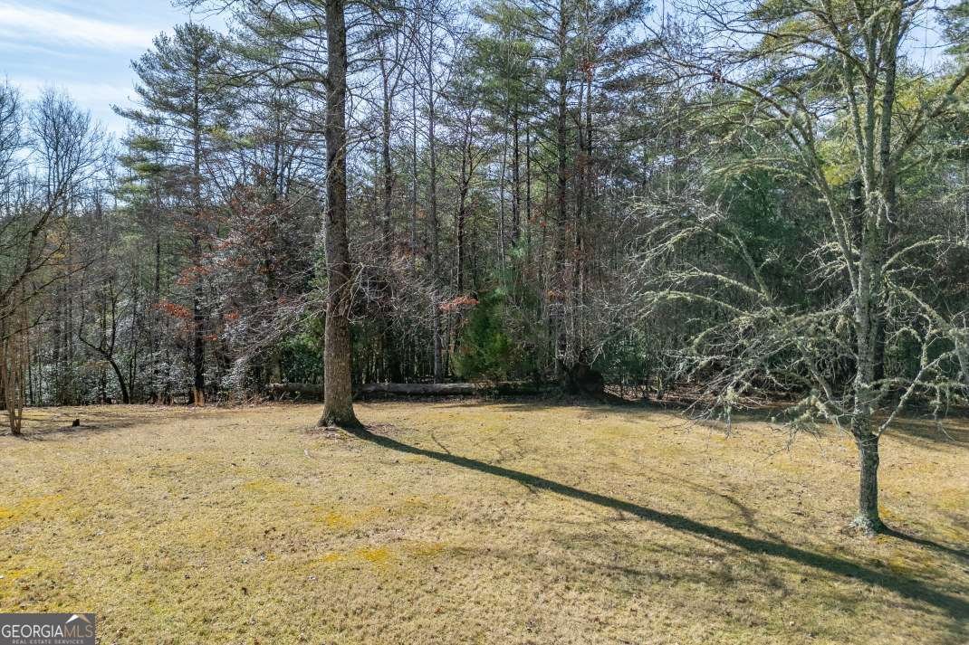 94 Kingfisher Lane Blairsville - Photo 53