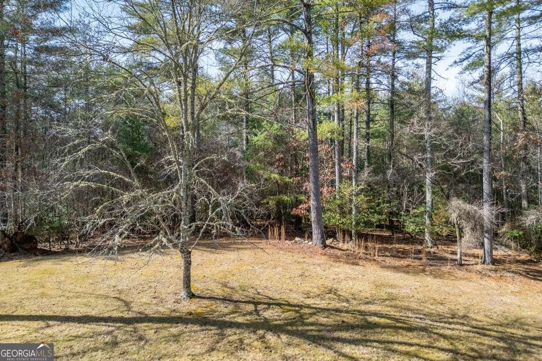 94 Kingfisher Lane Blairsville - Photo 54