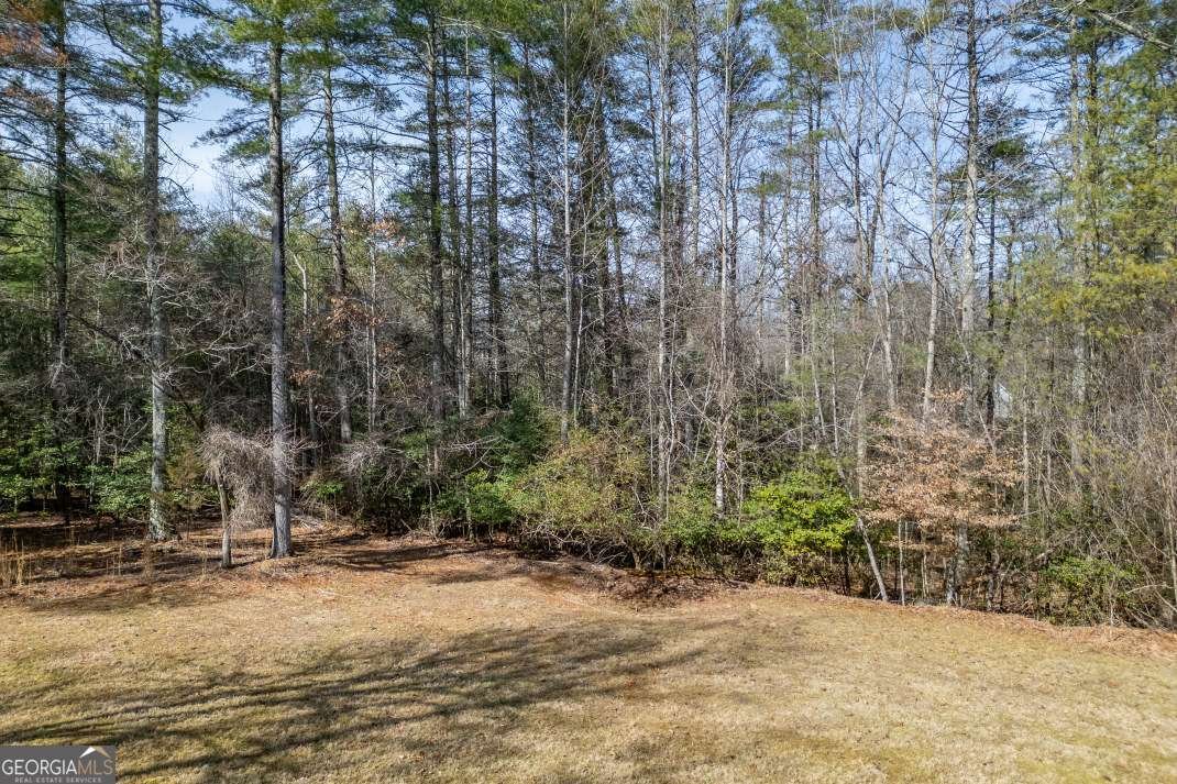 94 Kingfisher Lane Blairsville - Photo 55