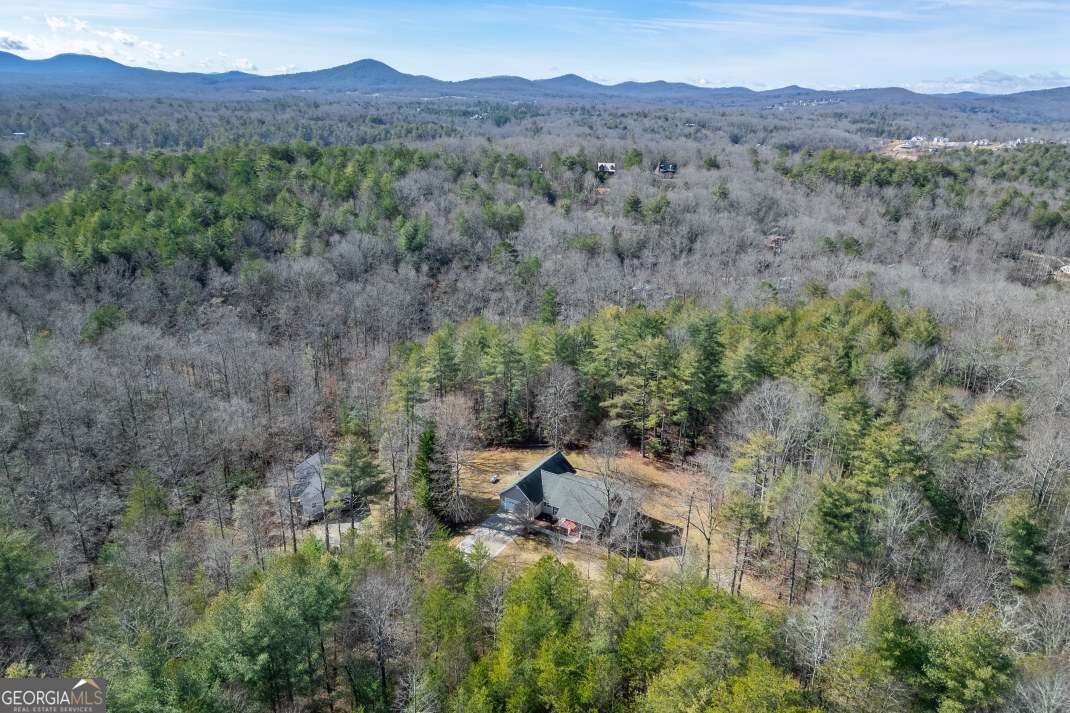 94 Kingfisher Lane Blairsville - Photo 66