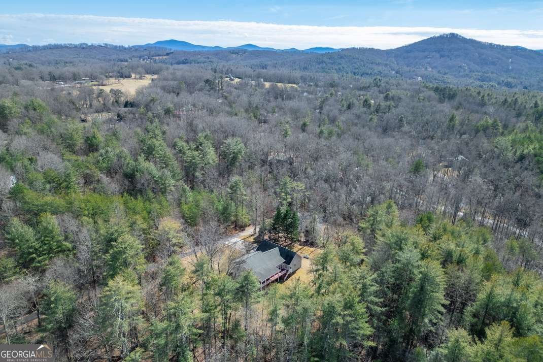 94 Kingfisher Lane Blairsville - Photo 67