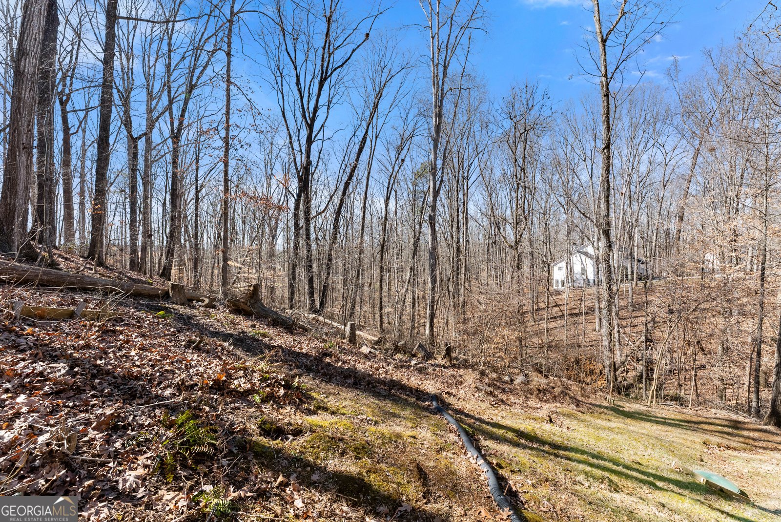 5082 Peach Mountain Circle Gainesville - Photo 34