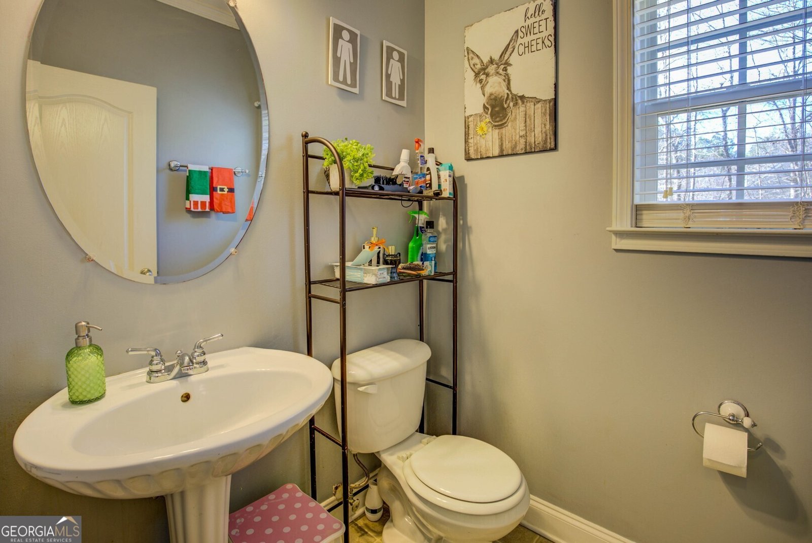 139 Loam Drive McDonough - Photo 28