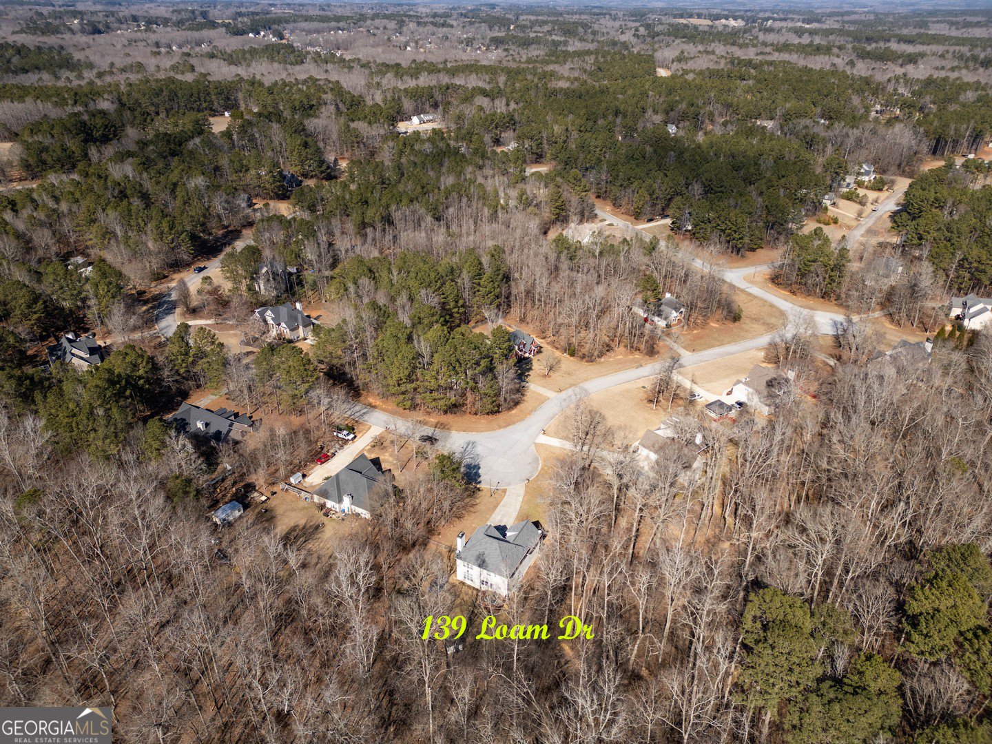 139 Loam Drive McDonough - Photo 60