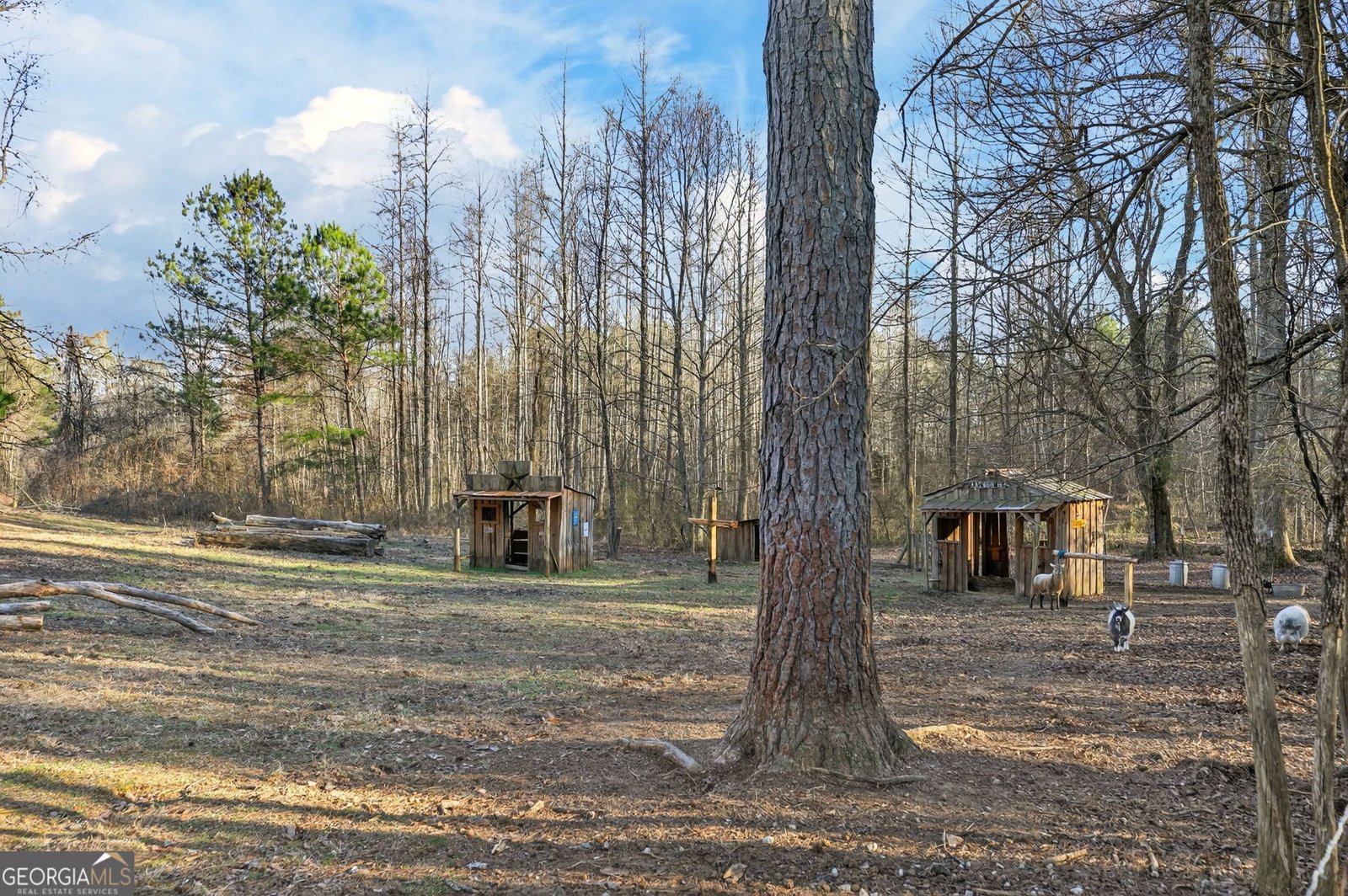 566 Bell Road Dallas - Photo 32