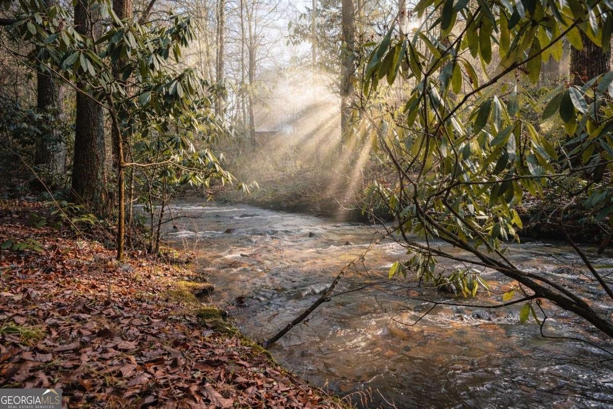 7223 Doublehead Gap Road Blue Ridge - Photo 14