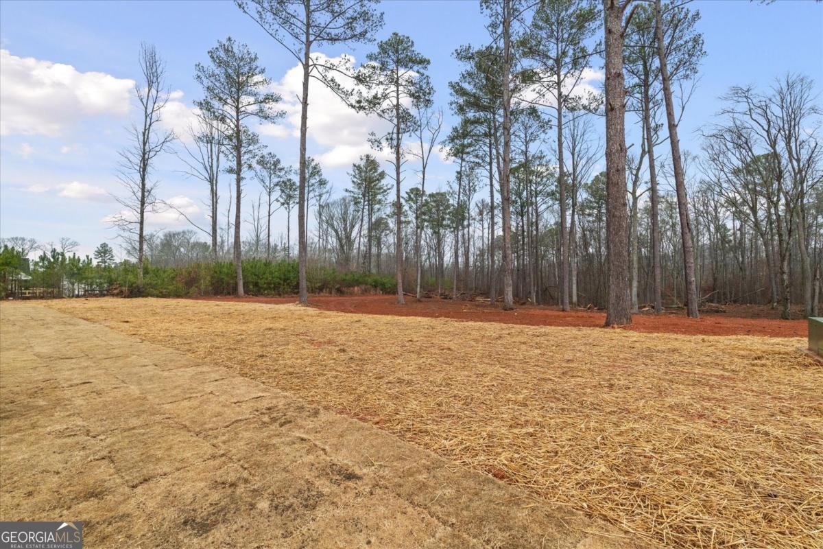 419 Lively Road Waco - Photo 43