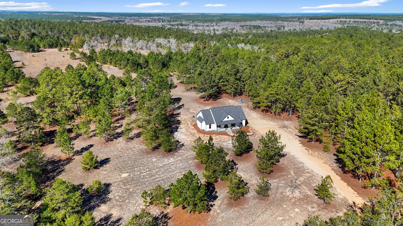 115 Watermelon Lane Mauk - Photo 39