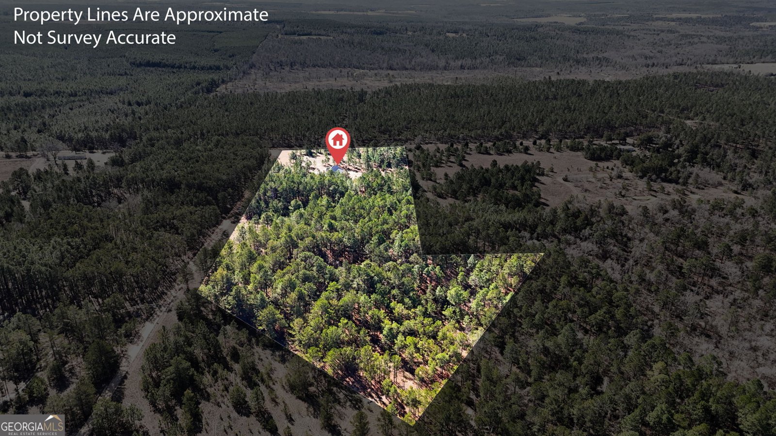 115 Watermelon Lane Mauk - Photo 44