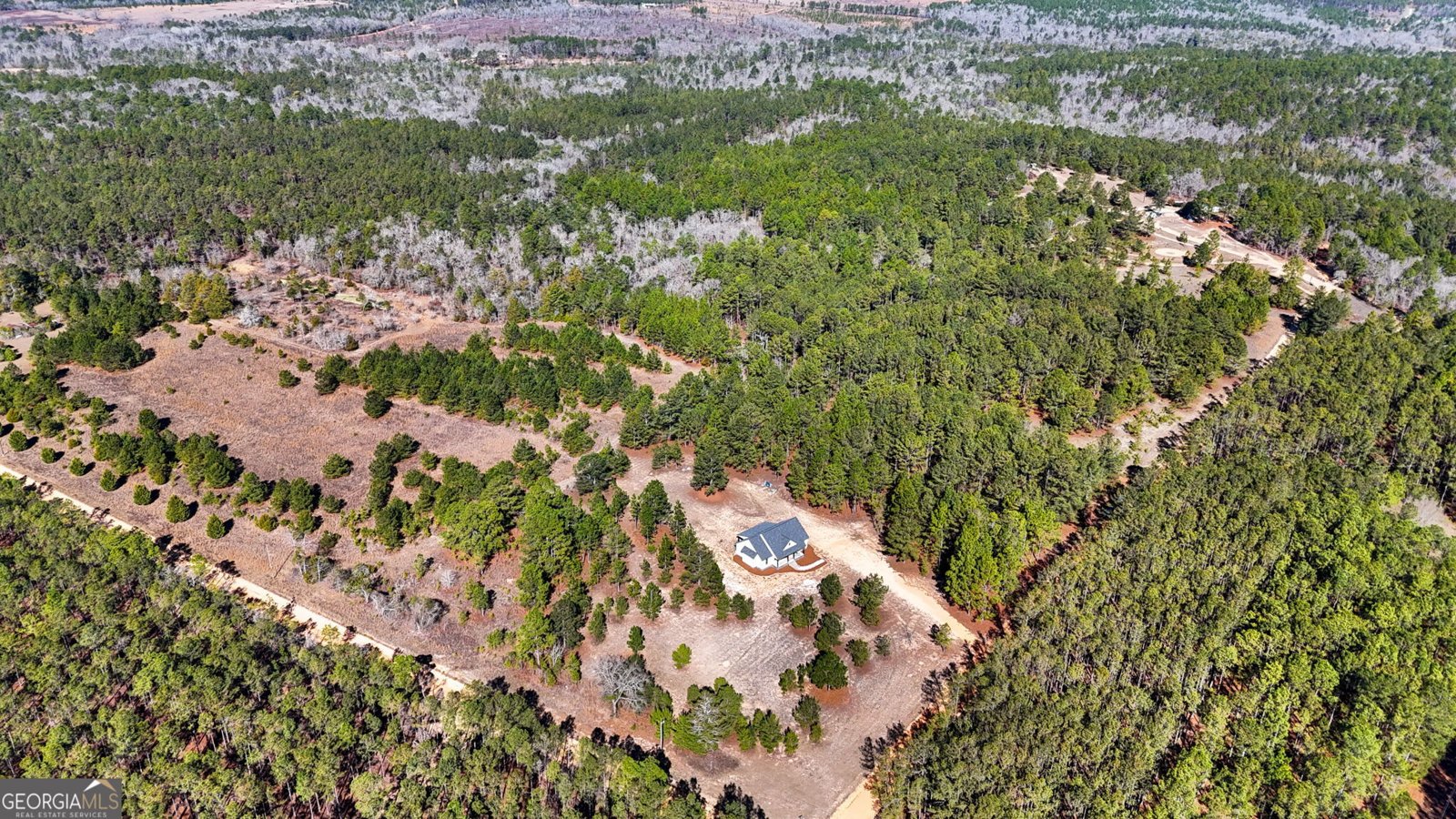 115 Watermelon Lane Mauk - Photo 45