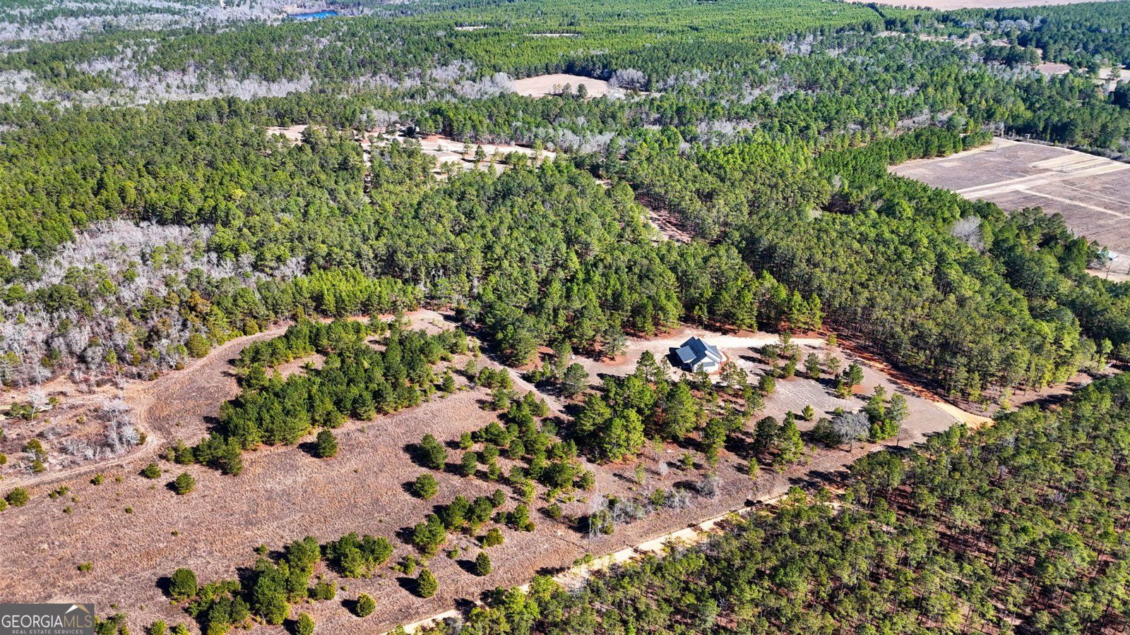 115 Watermelon Lane Mauk - Photo 46