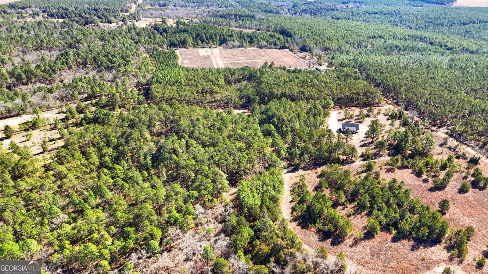 115 Watermelon Lane Mauk - Photo 47