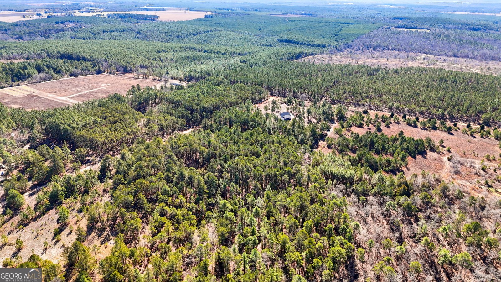 115 Watermelon Lane Mauk - Photo 48