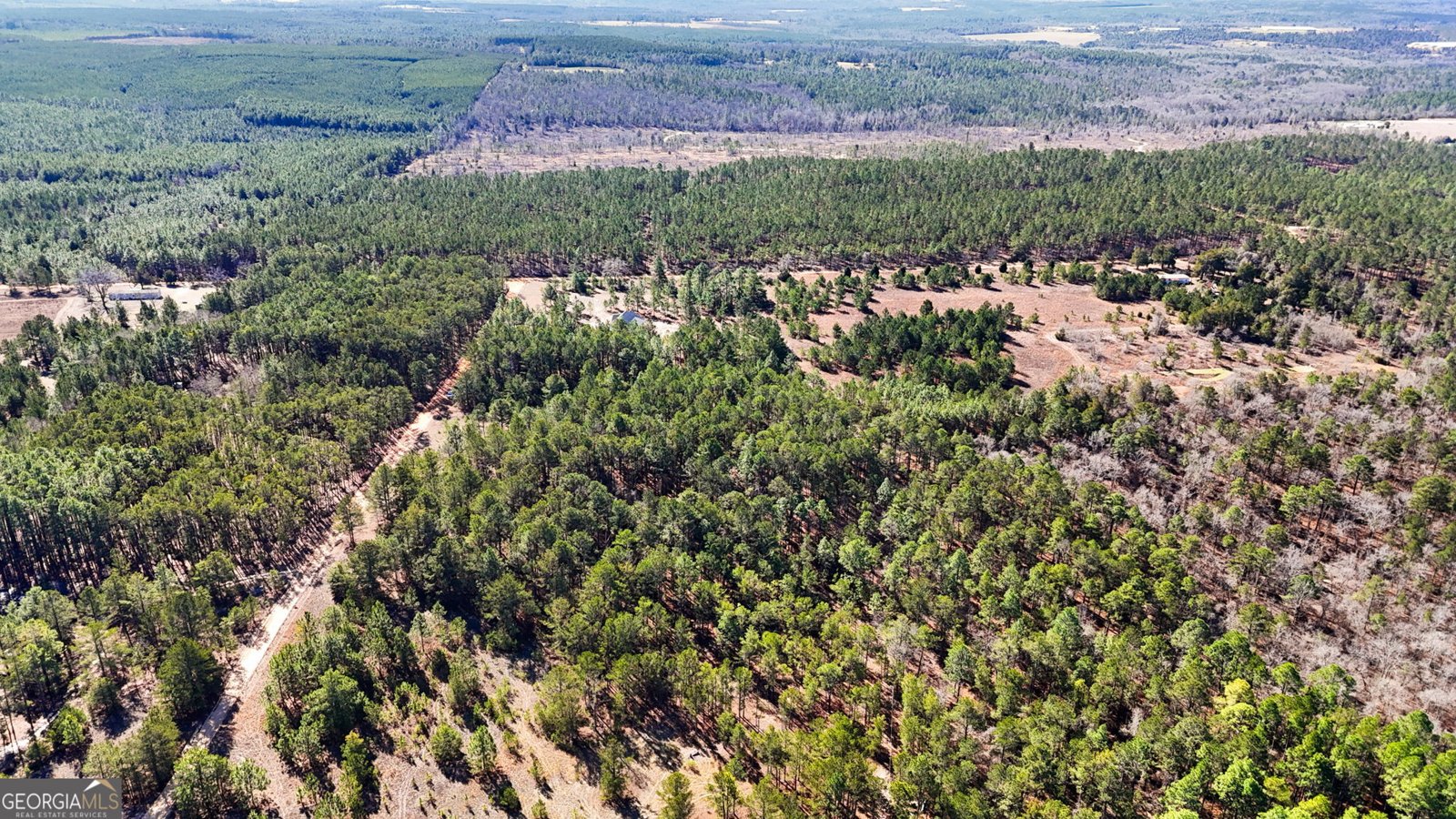 115 Watermelon Lane Mauk - Photo 49