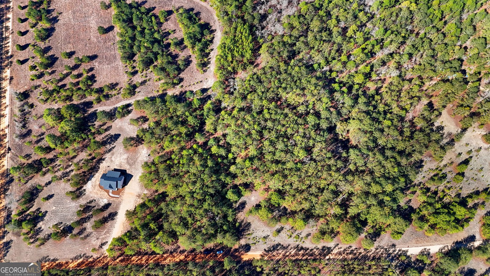 115 Watermelon Lane Mauk - Photo 50