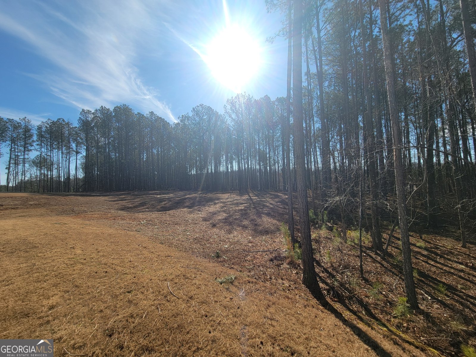 195 Great Gorge Parkway Covington - Photo 43