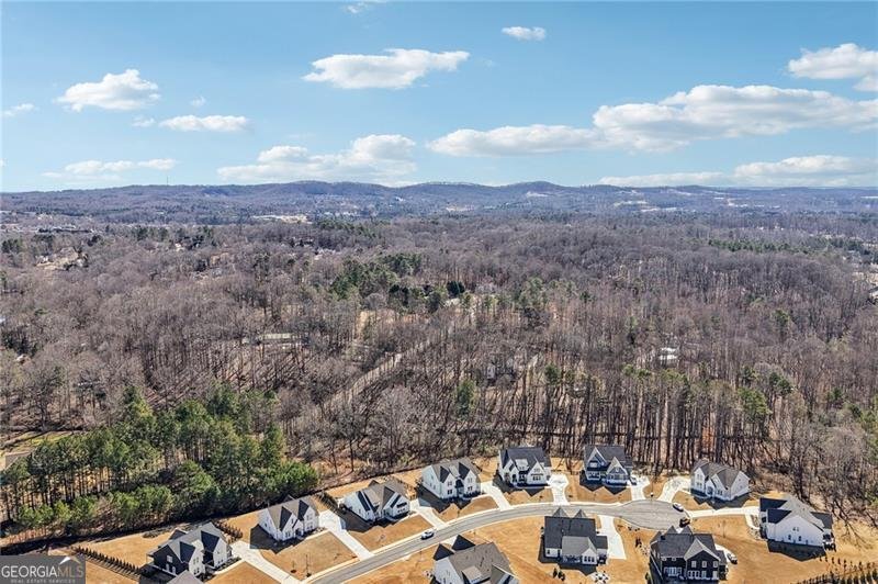 7945 Heritage Farm Court Dawsonville - Photo 64