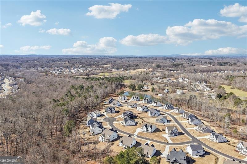 7945 Heritage Farm Court Dawsonville - Photo 65