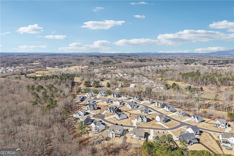 7945 Heritage Farm Court Dawsonville - Photo 66