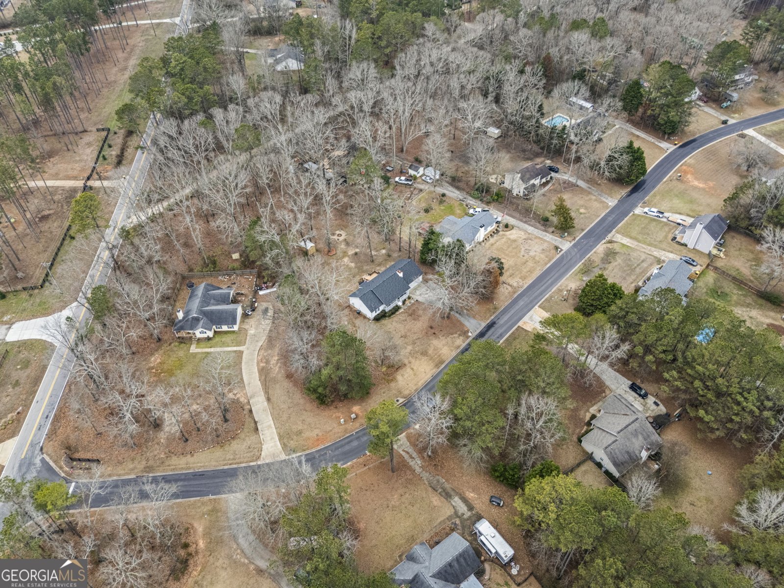 20 Austin Woods Drive Senoia - Photo 48