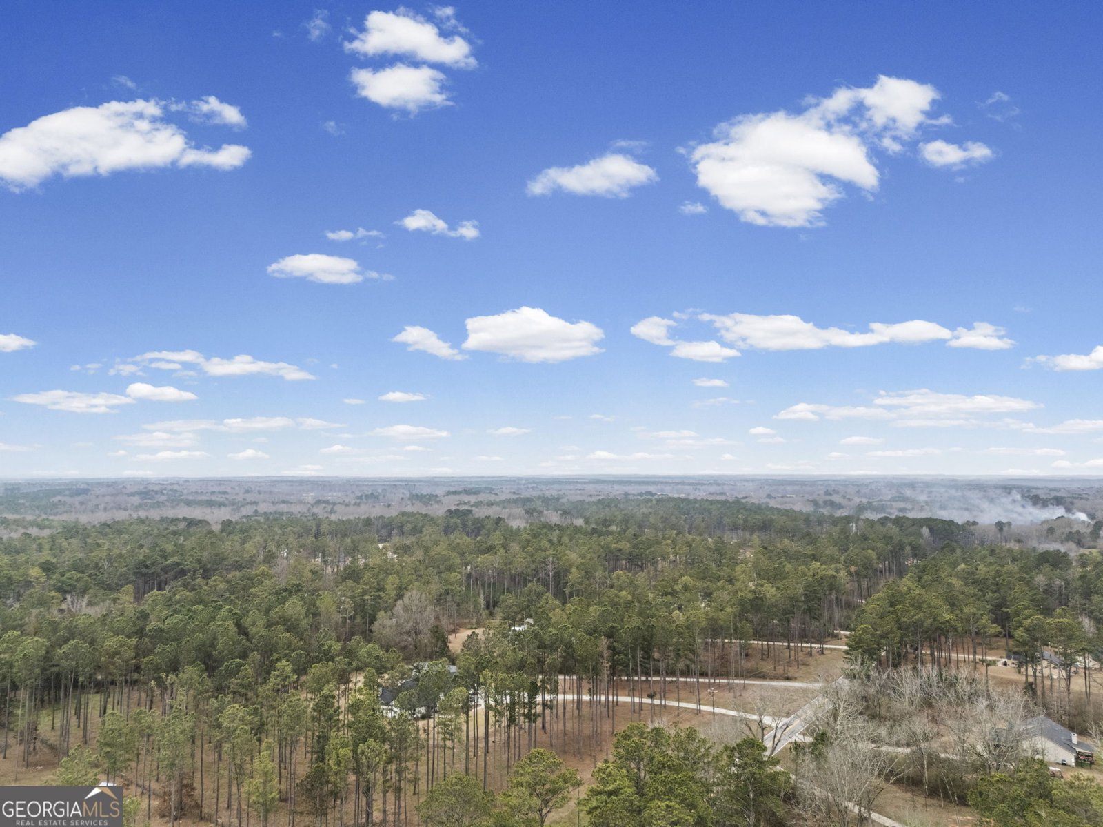 20 Austin Woods Drive Senoia - Photo 49