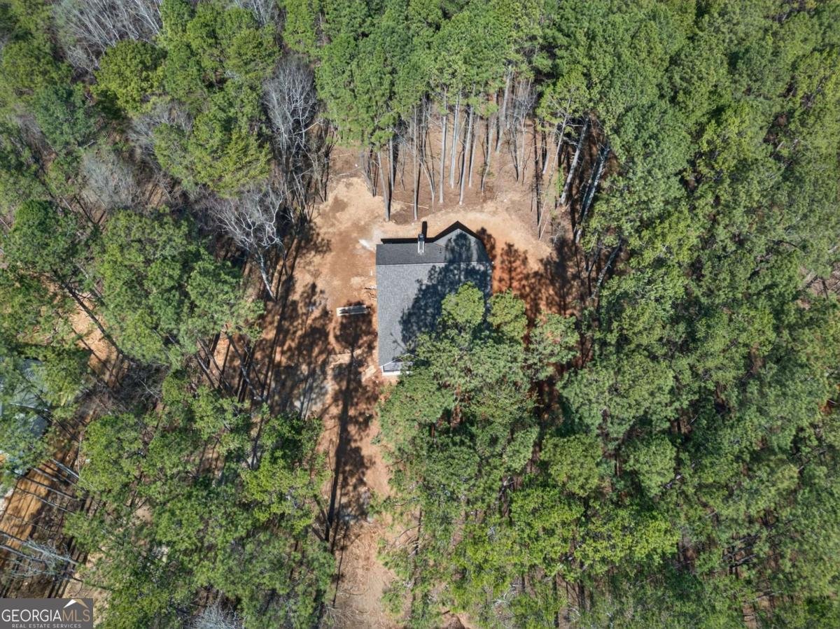 971 Drummond Road Cedartown - Photo 28