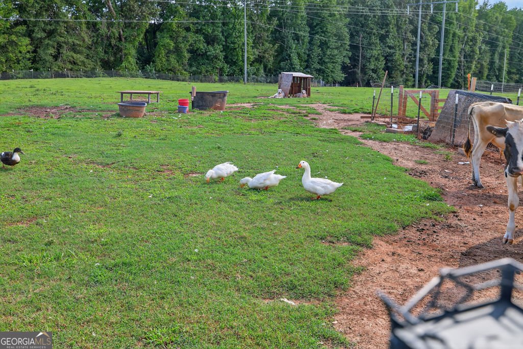 267 Bear Creek Meadows Drive Bogart - Photo 31