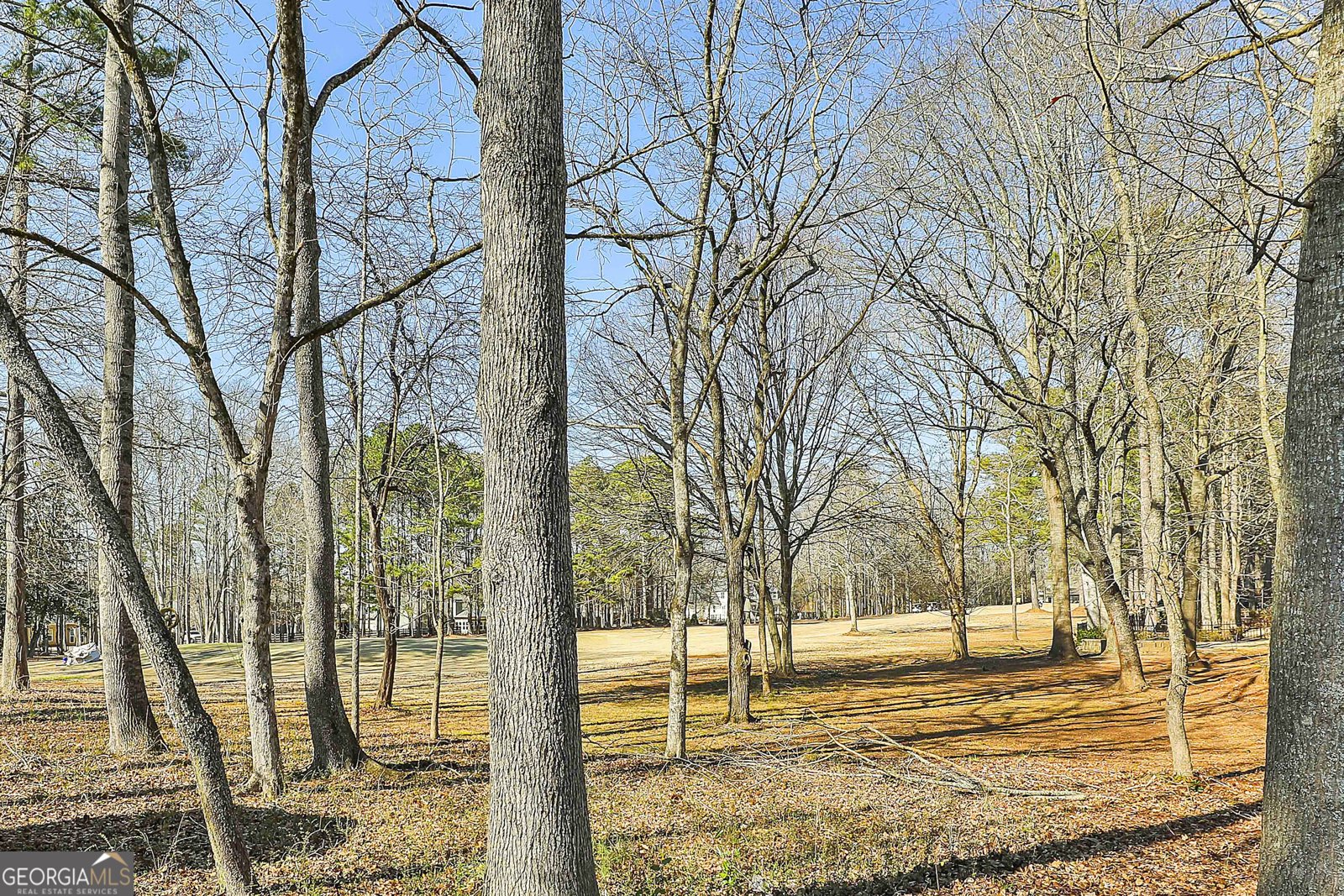 7 Briarpatch Lane Newnan - Photo 60