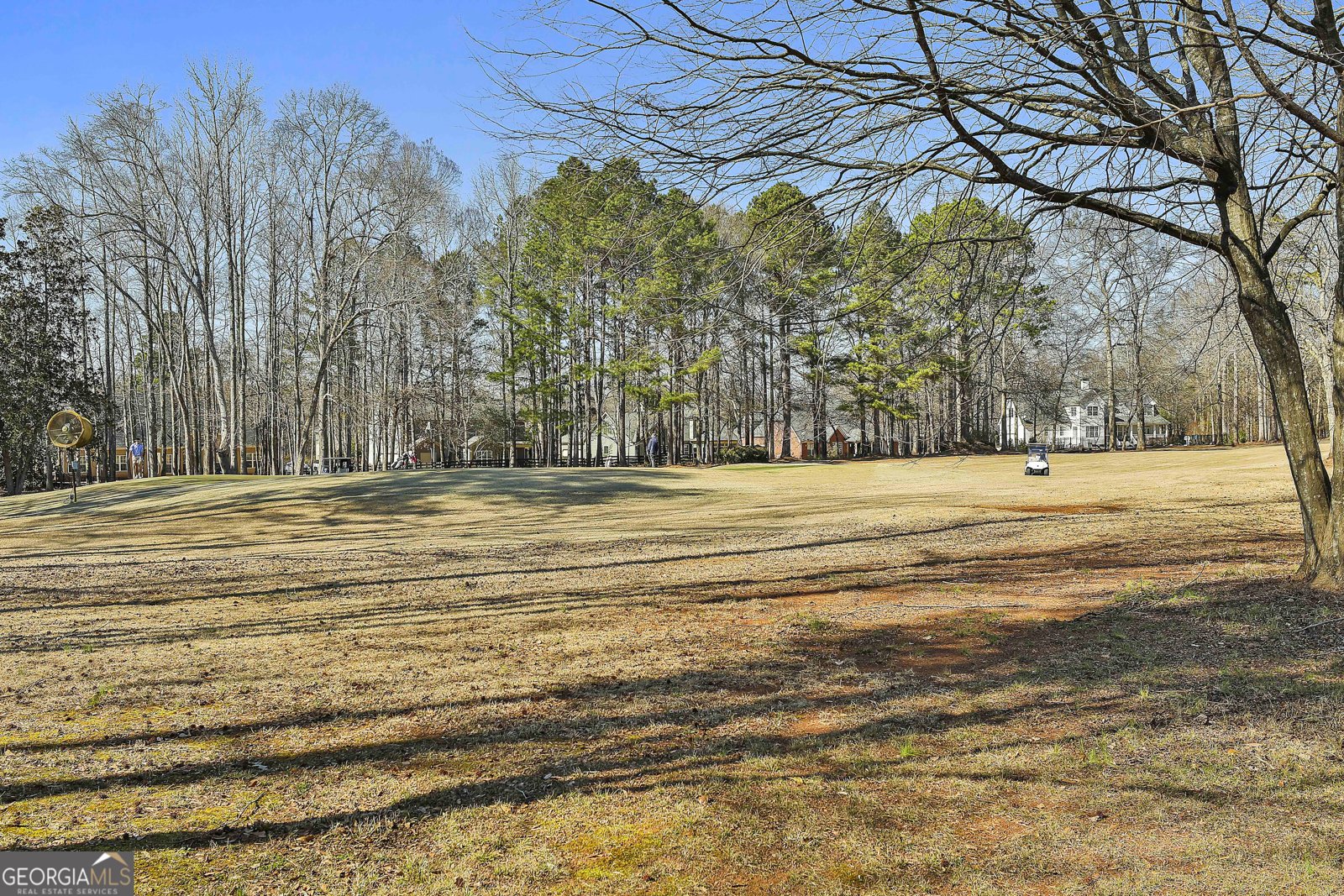 7 Briarpatch Lane Newnan - Photo 61