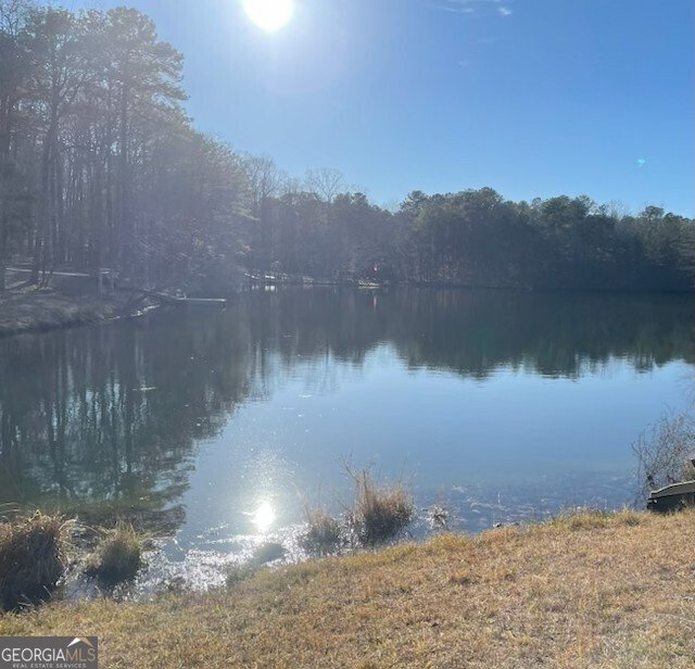 260 Ancient Oaks Lane Newnan - Photo 62