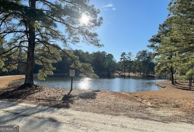 260 Ancient Oaks Lane Newnan - Photo 63