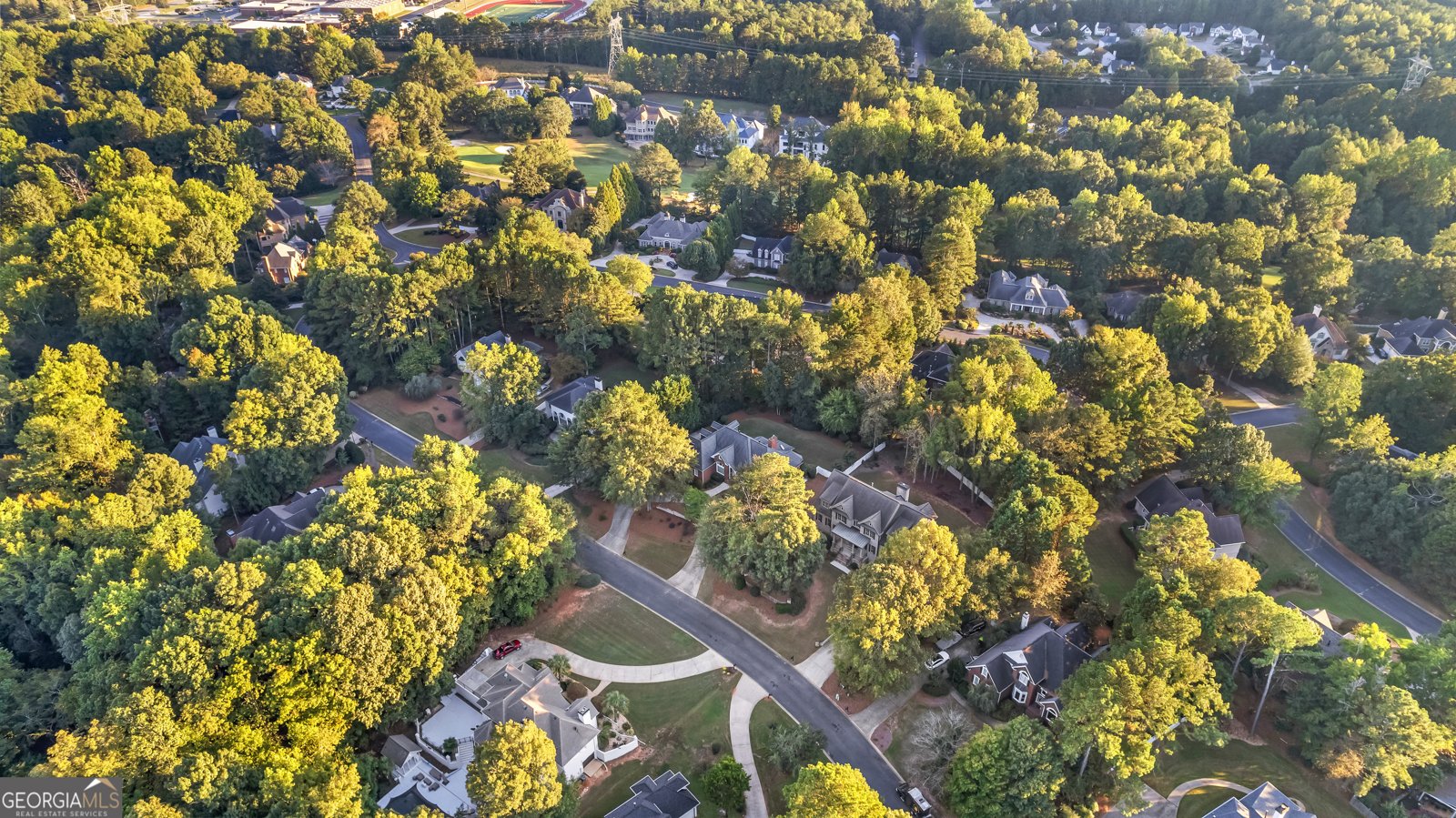 248 Montrose Drive McDonough - Photo 12