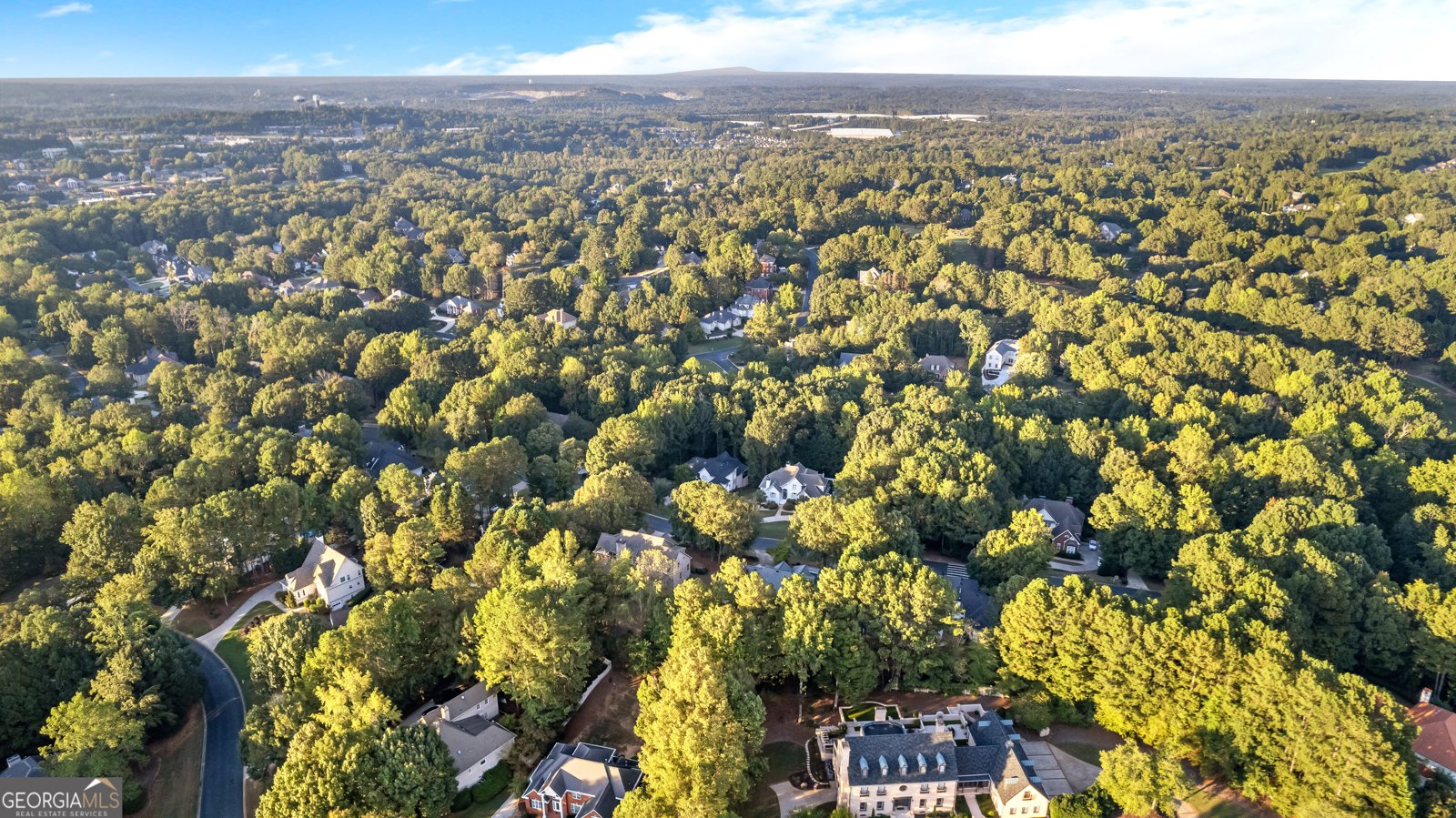 248 Montrose Drive McDonough - Photo 141