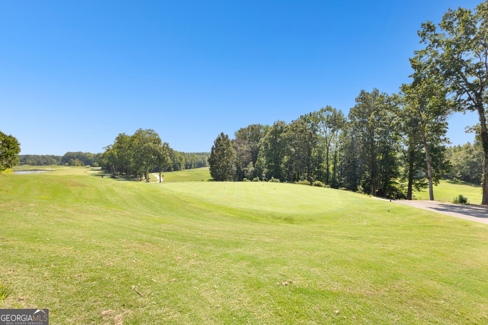 248 Montrose Drive McDonough - Photo 181