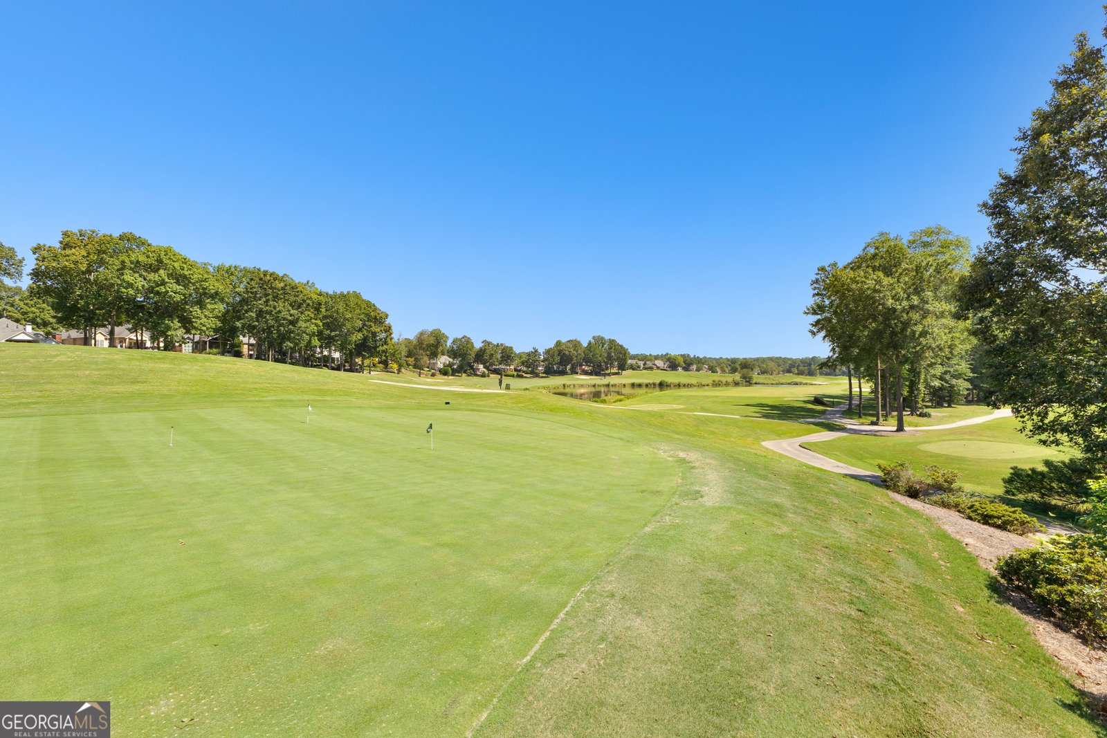 248 Montrose Drive McDonough - Photo 184