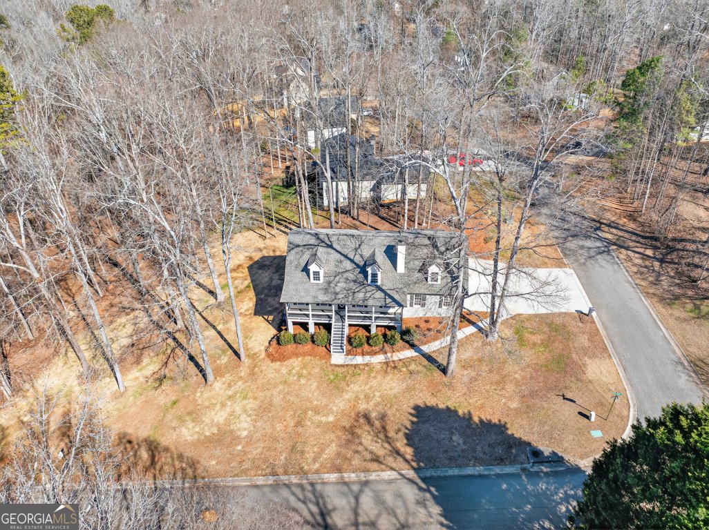546 Creek View Drive Hoschton - Photo 47