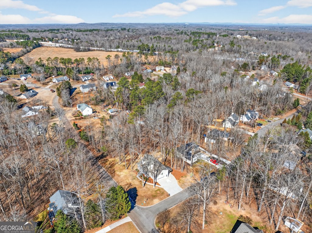 546 Creek View Drive Hoschton - Photo 49