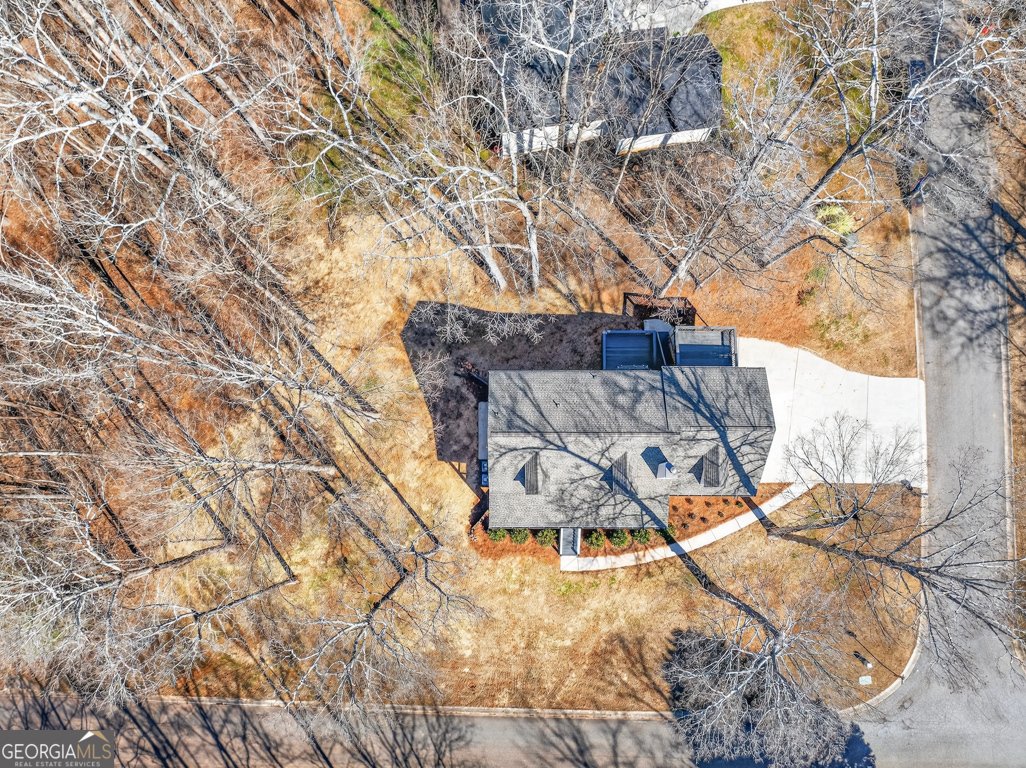 546 Creek View Drive Hoschton - Photo 53