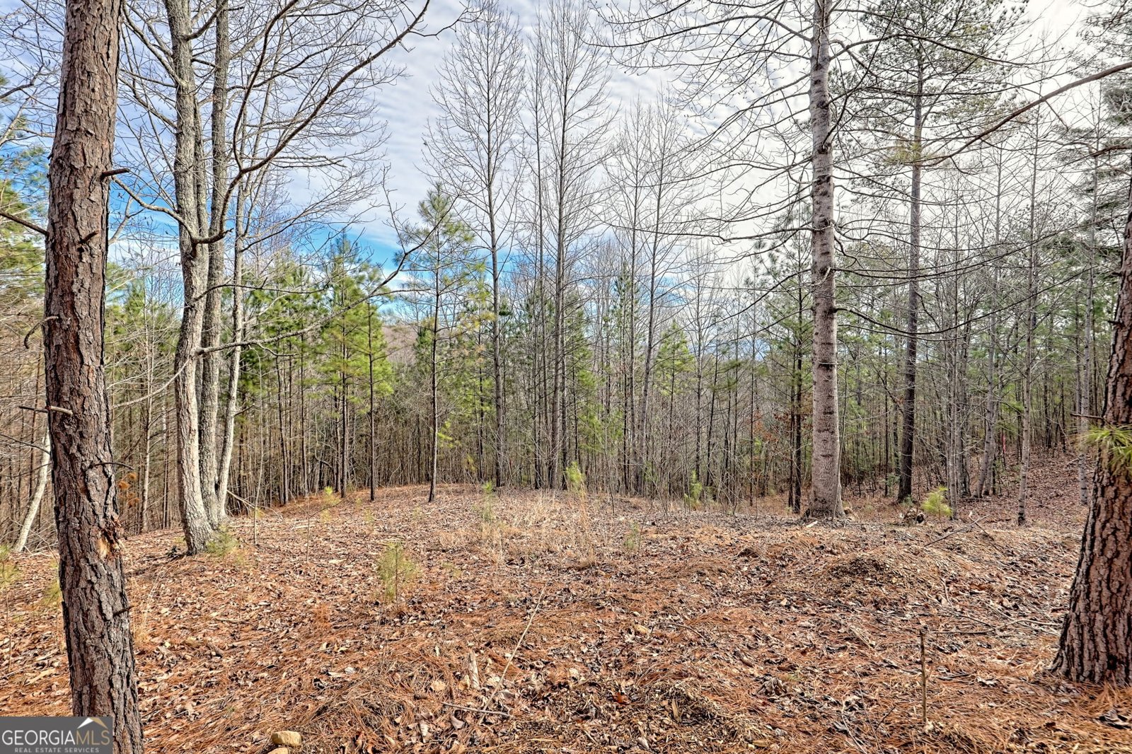 39 BAREFOOT TRL BLAIRSVILLE - Photo 63