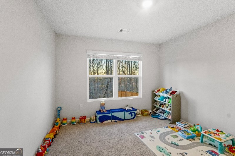 55 Shadwood Place Dawsonville - Photo 69