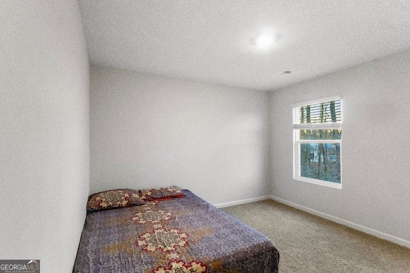 55 Shadwood Place Dawsonville - Photo 72